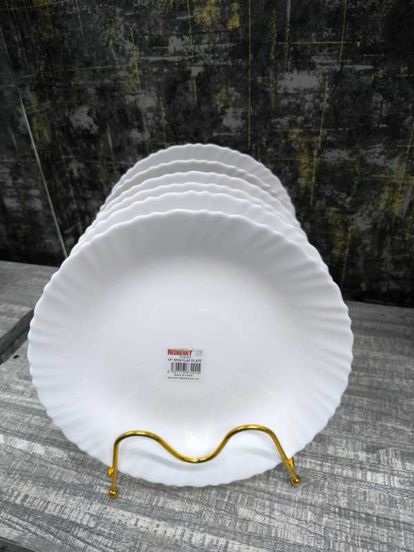 10 inch  dinner plate